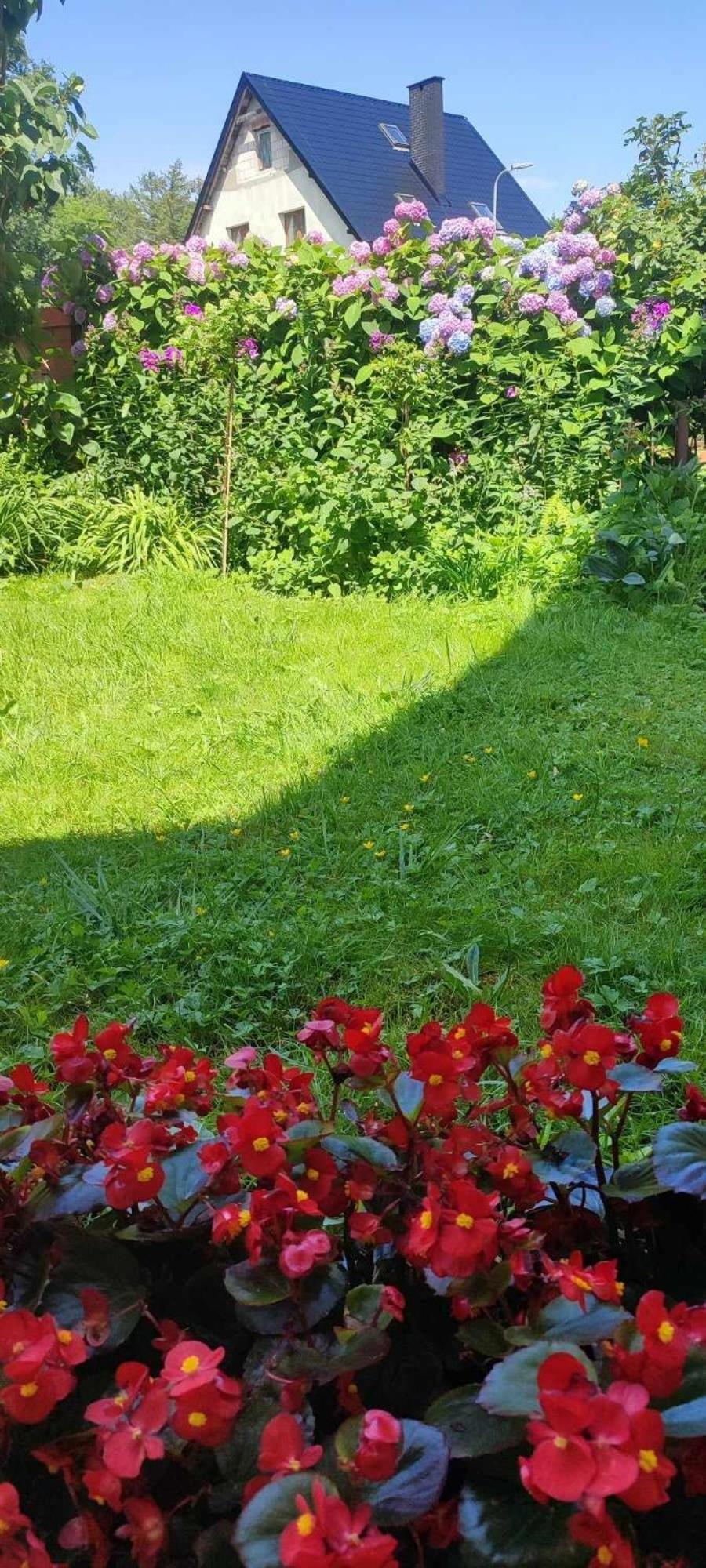 Pokoje Goscinne Anna Ustka Kültér fotó